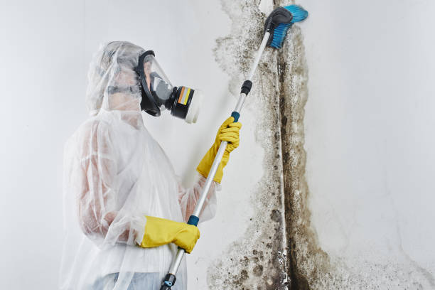 Water Damage Restoration in Yorkville, IL