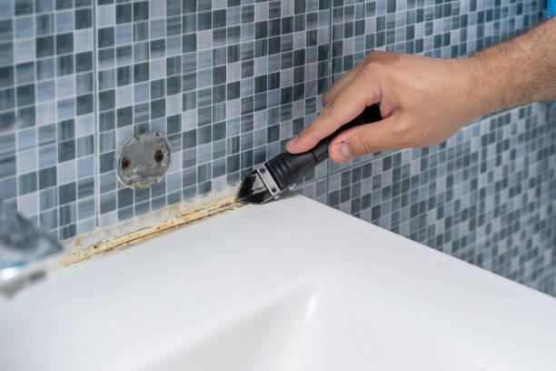 Best Commercial Mold Removal  in Yorkvle, IL